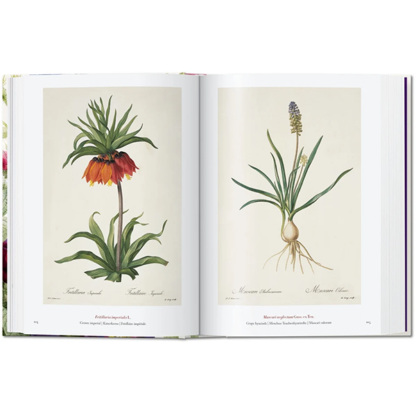 REDOUTÉ - BOOK OF FLOWERS 45th EDT.