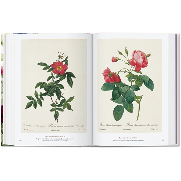 REDOUTÉ - BOOK OF FLOWERS 45th EDT.