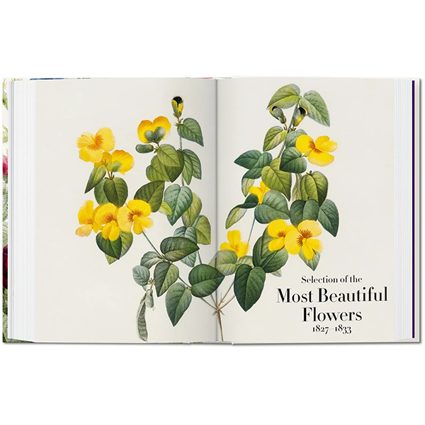 REDOUTÉ - BOOK OF FLOWERS 45th EDT.