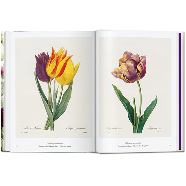 REDOUTÉ - BOOK OF FLOWERS 45th EDT.