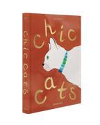 Libro con portada naranja y gato blanco mirando, título en tipografía curvada