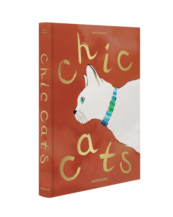 Libro con portada naranja y gato blanco mirando, título en tipografía curvada