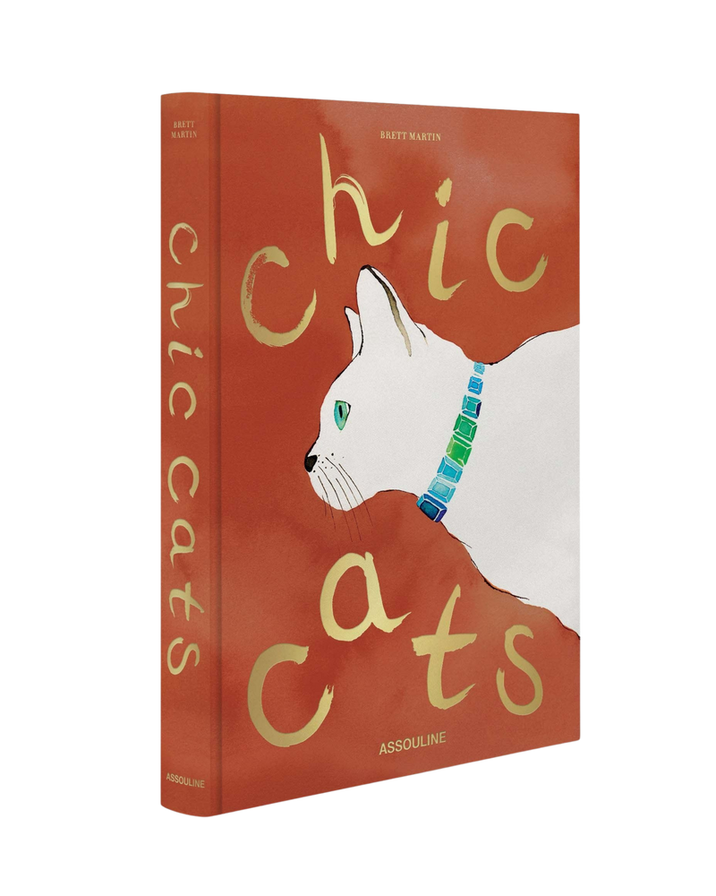 Libro con portada naranja y gato blanco mirando, título en tipografía curvada