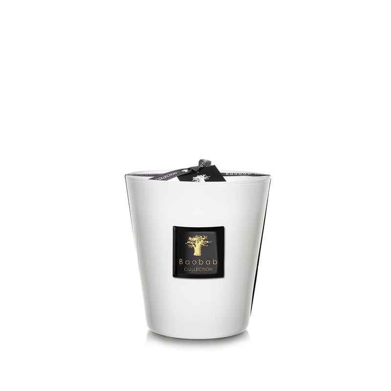 Vela Baobab en vaso blanco, vista frontal inclinada, etiqueta negra con árbol dorado.