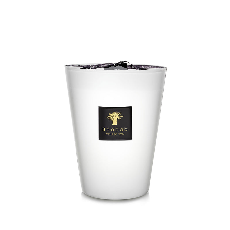 Vela Baobab en vaso blanco, etiqueta negra cuadrada con árbol dorado.