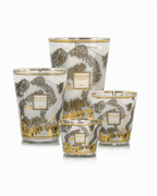 Vela Baobab Aspen