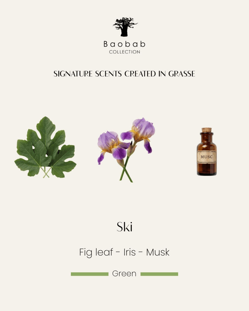 Vela Baobab Ski