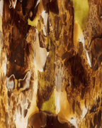 Vela Baobab Halona Yellow World