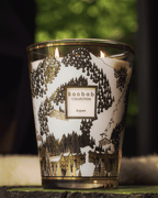 Vela Baobab Aspen